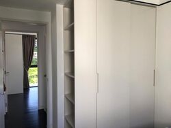 Village @ Pasir Panjang (D5), Condominium #450262181